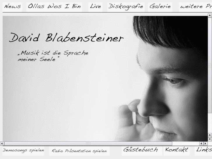 www.davidblabensteiner.com