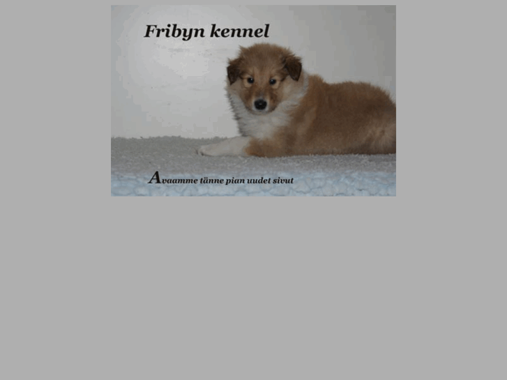 www.fribyn.com