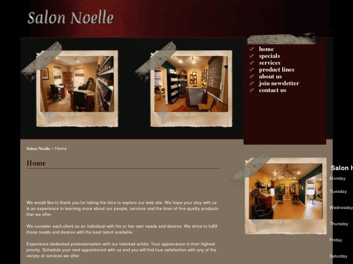 www.salonnoelle.com