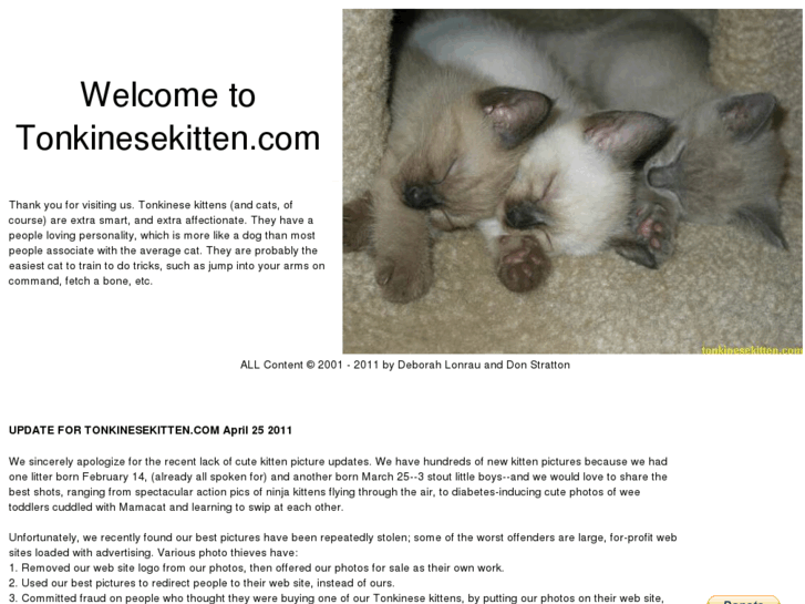 www.tonkinesekitten.com