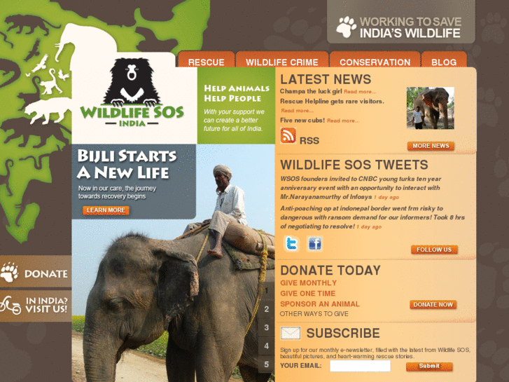 www.wildlifesos.org