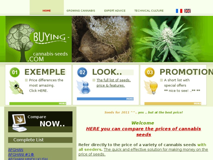 www.buying-cannabis-seeds.com