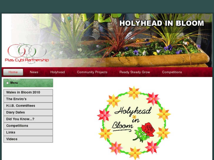 www.holyheadinbloom.com