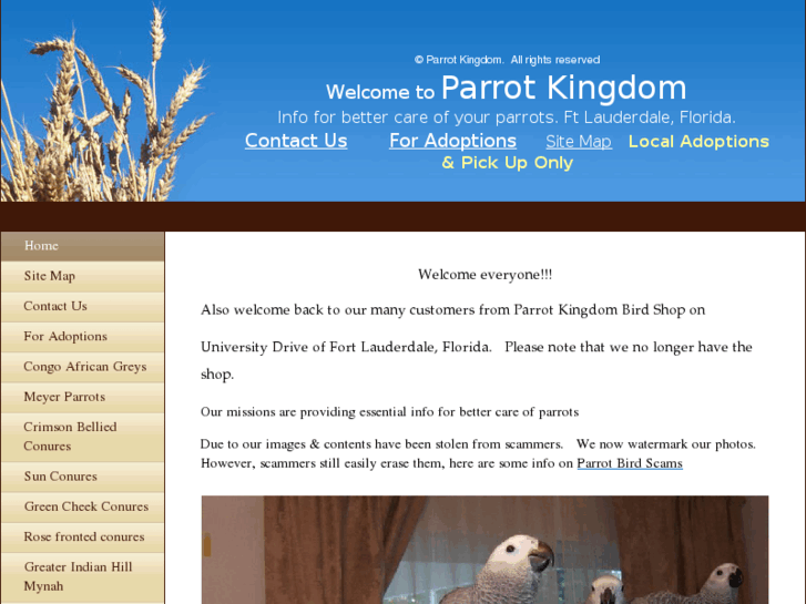 www.parrotkingdom.net