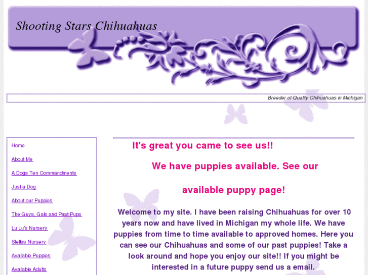 www.shootingstarschihuahuas.com