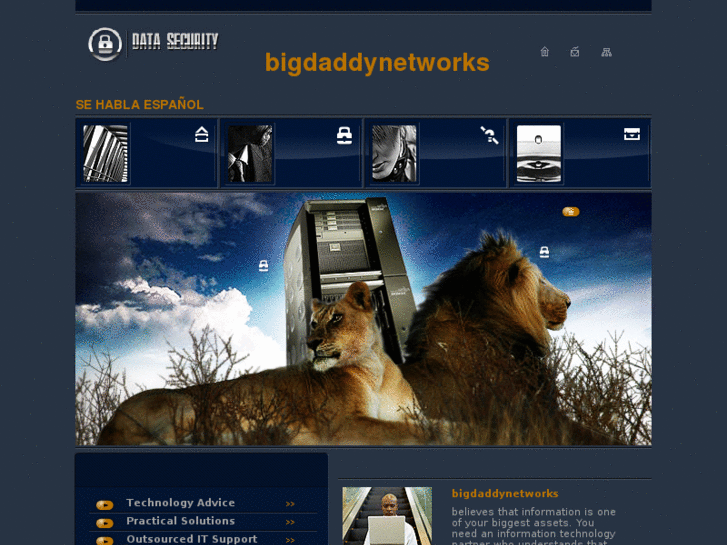 www.bigdaddynetworks.com