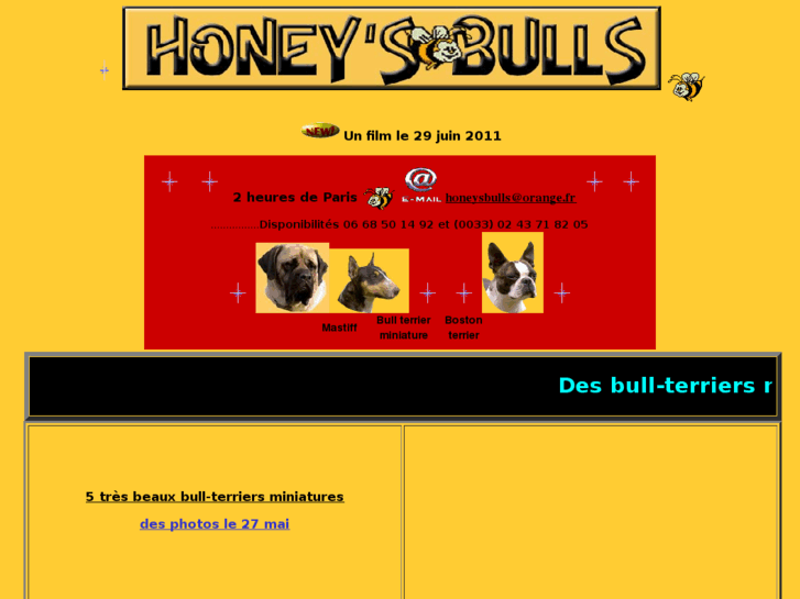 www.honeysbulls.net