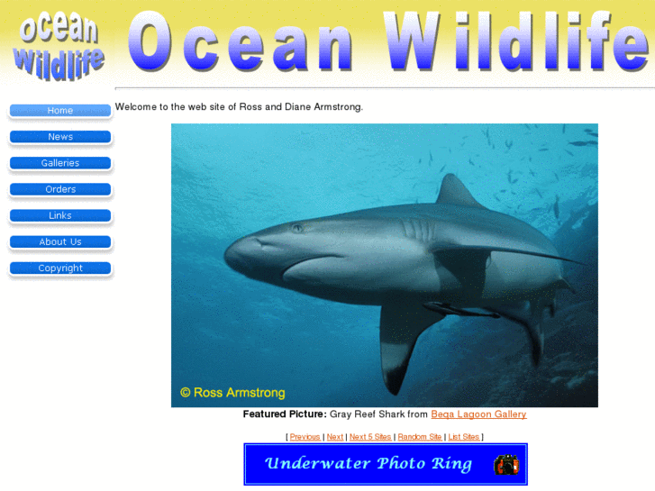 www.oceanwildlife.com