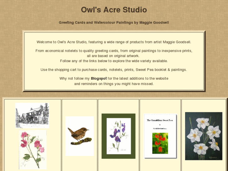 www.owlsacrestudio.com