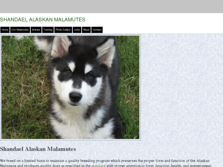 www.shandaelmalamutes.com