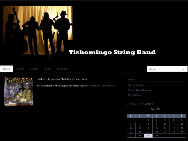 www.tishomingostringband.com