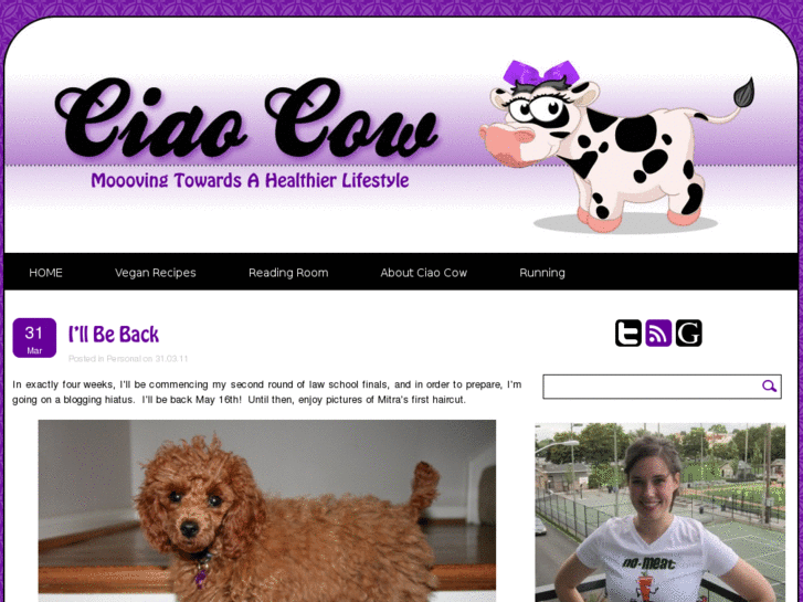 www.ciao-cow.com