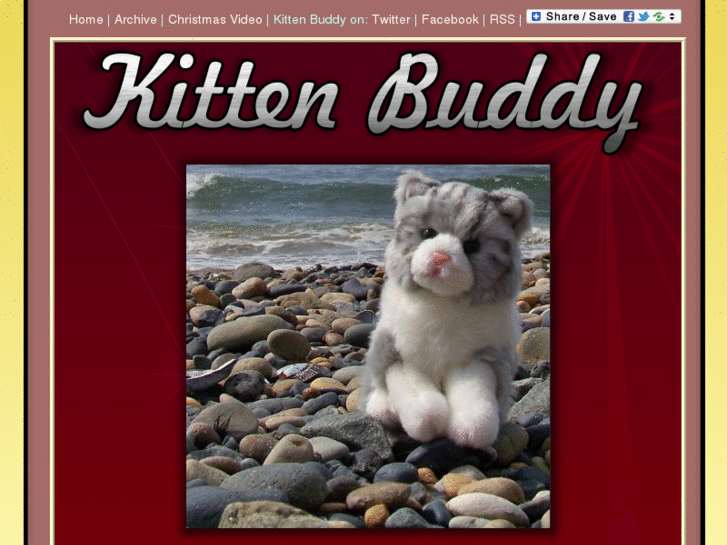 www.kittenbuddy.net