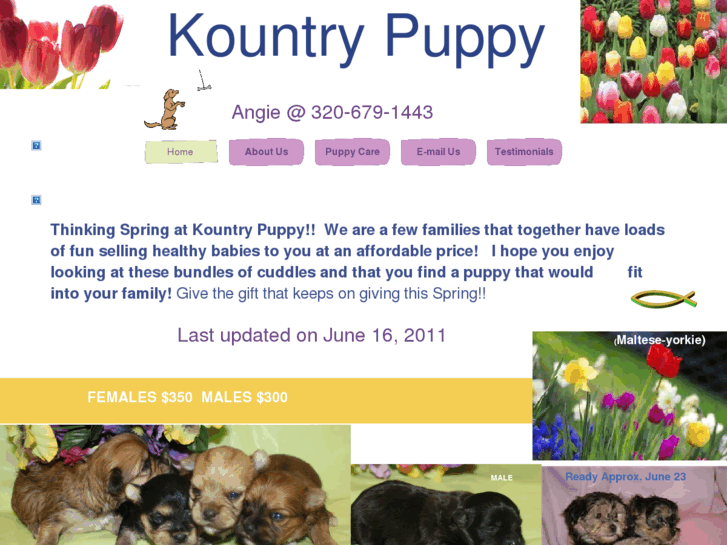 www.kountrypuppy.com