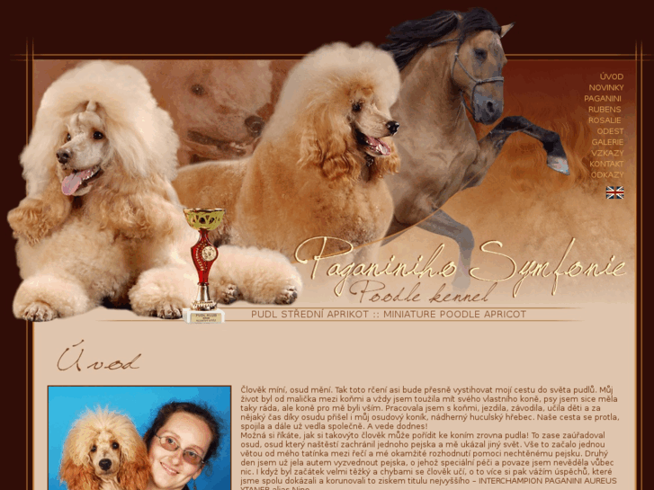 www.the-poodle.com