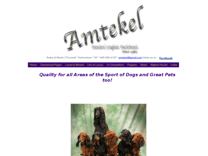 www.amtekel.com