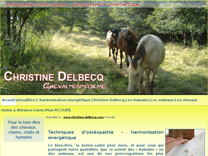 www.christine-delbecq.com