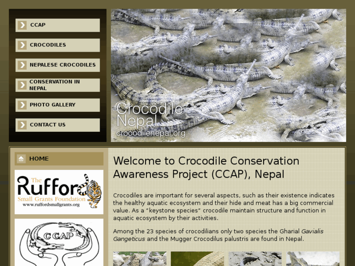 www.crocodilenepal.org