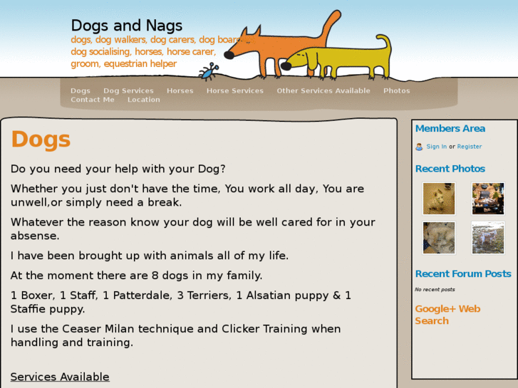 www.dogsandnags.com