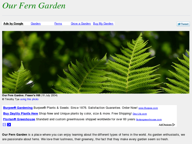 www.our-fern-garden.com