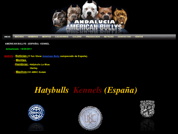 www.americanbullys.es