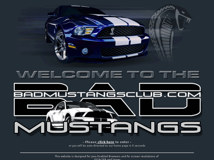 www.badmustangsclub.com