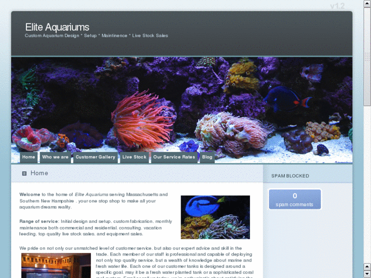 www.eliteaquariums.net