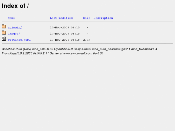 www.svnconsult.com