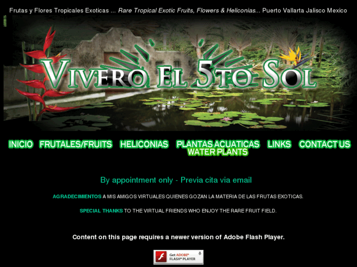 www.viveroel5tosol.com