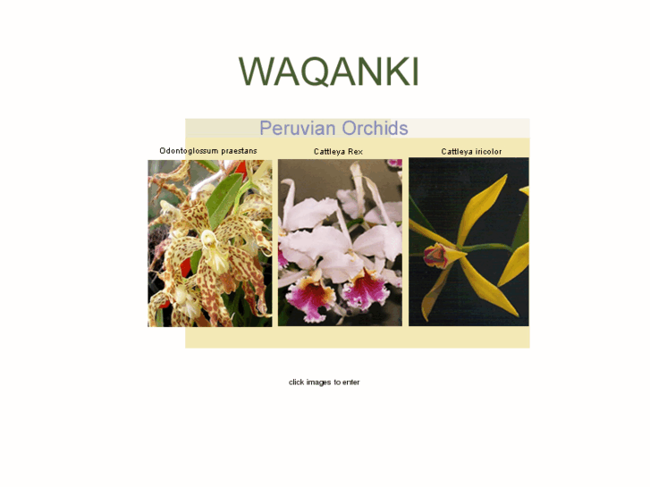 www.waqanki.com