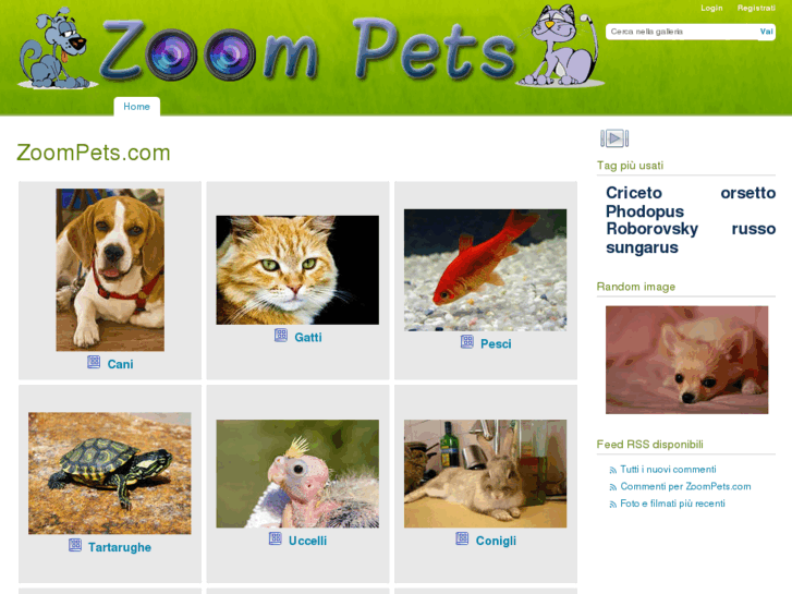 www.zoompets.com