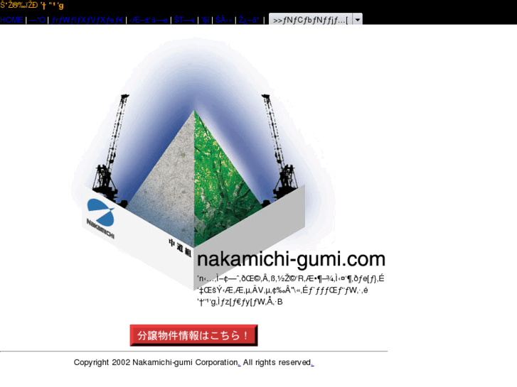 www.nakamichi-gumi.com