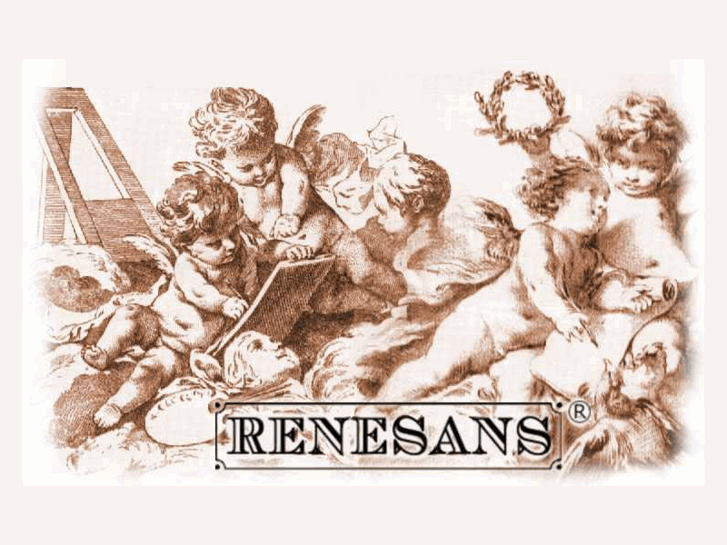 www.renesans.com