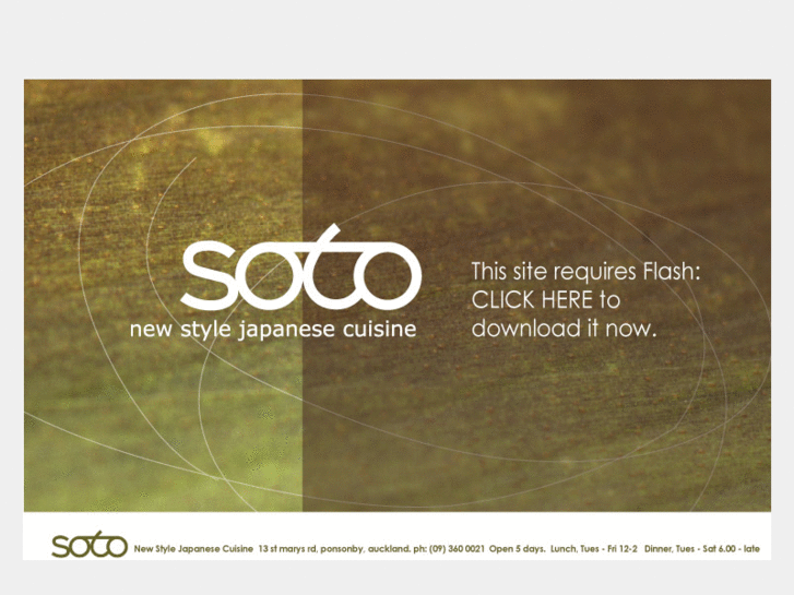 www.soto.co.nz