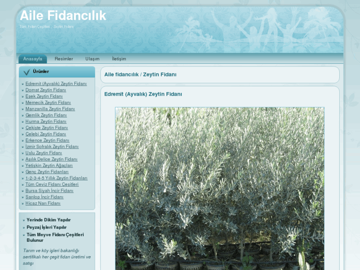 www.zeytin-fidani.net