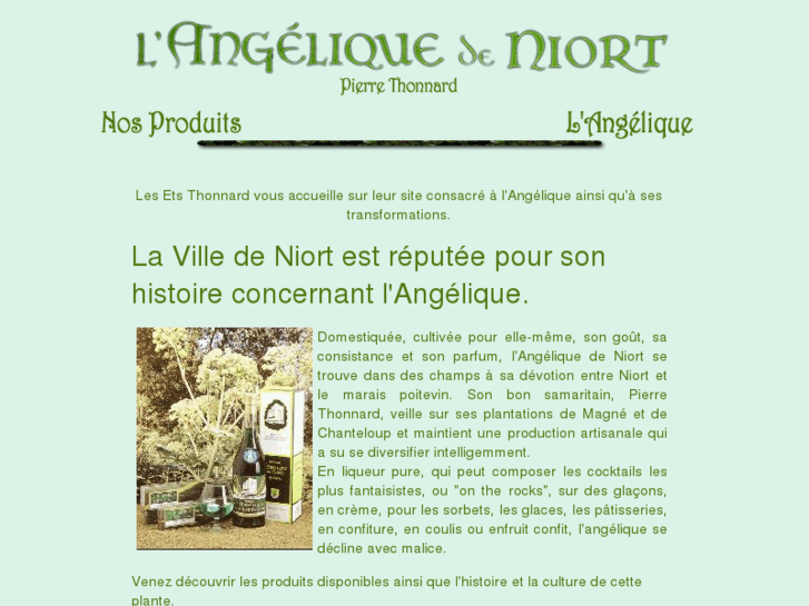 www.angelique-niort.com