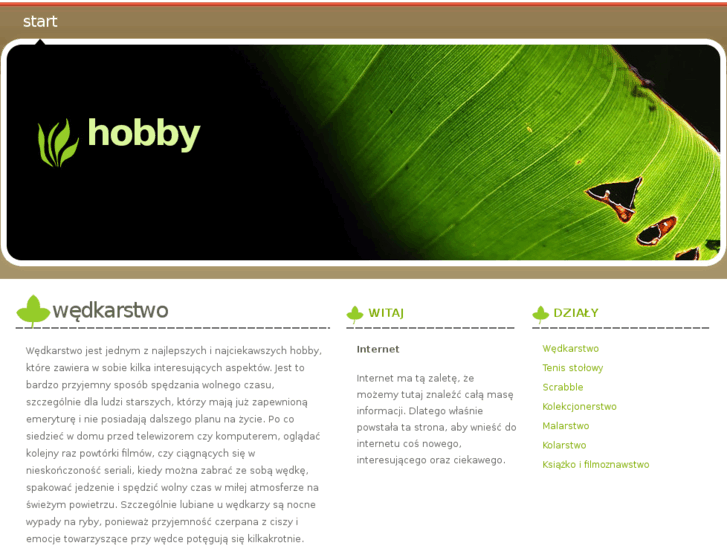 www.hobby.info.pl