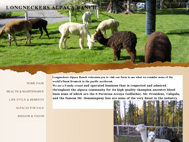 www.longneckersalpacas.com