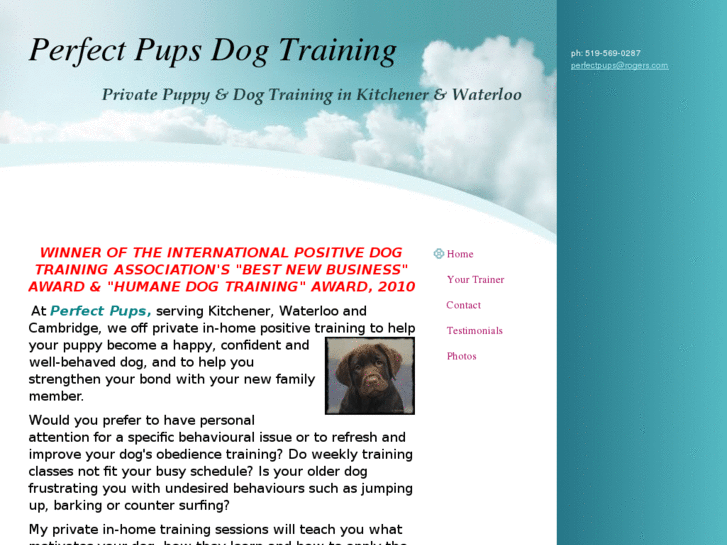 www.perfectpupsdogtraining.com