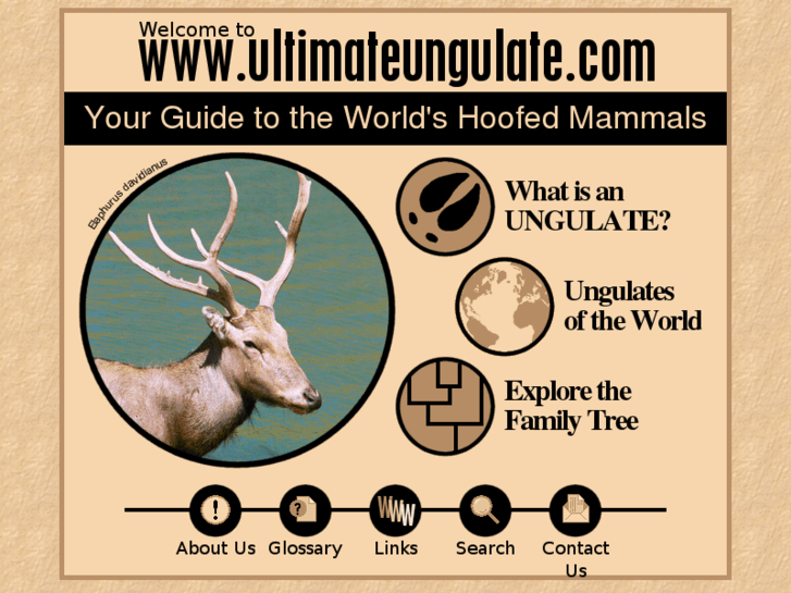 www.ultimateungulate.com