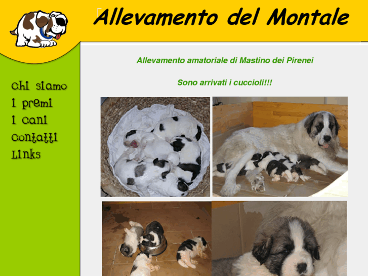 www.allevamentodelmontale.com