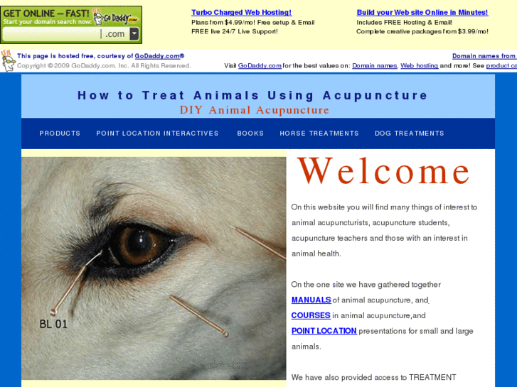 www.animal-acupuncture.info