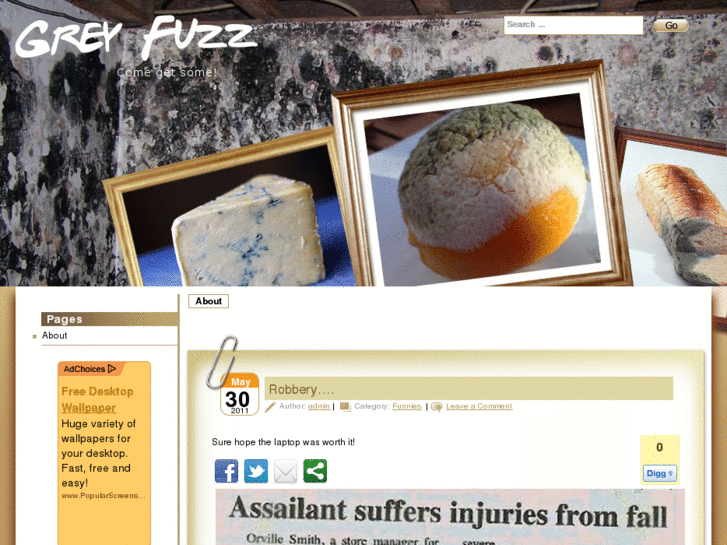www.greyfuzz.com