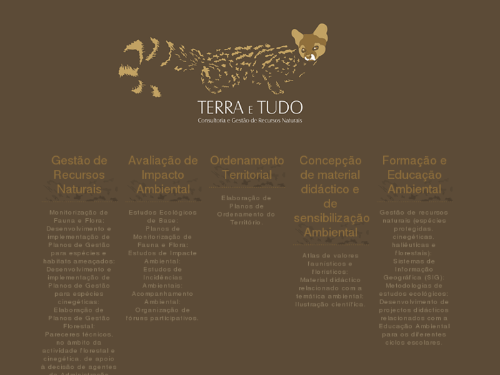 www.terraetudo.com