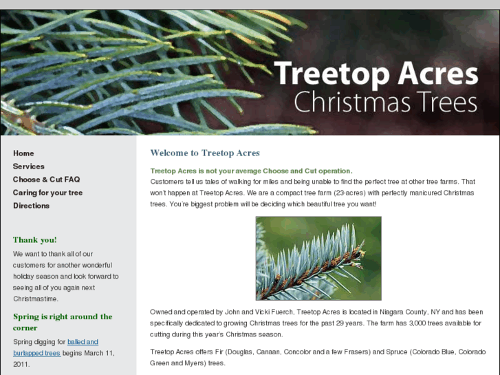 www.treetopchristmastrees.com