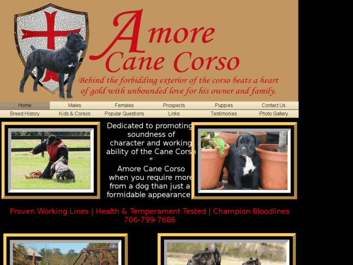 www.amorecanecorso.com