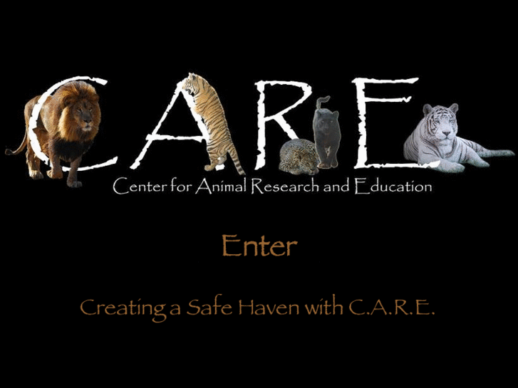 www.bigcatcare.org