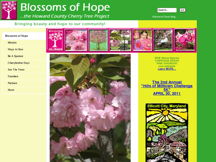 www.blossomsofhope.com