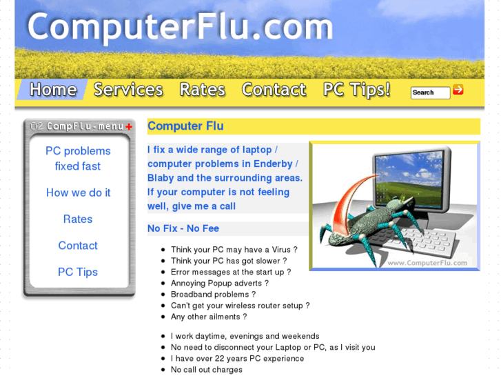 www.computerflu.com