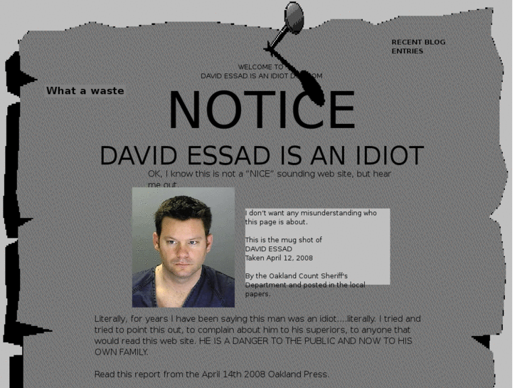 www.davidessadisanidiot.com